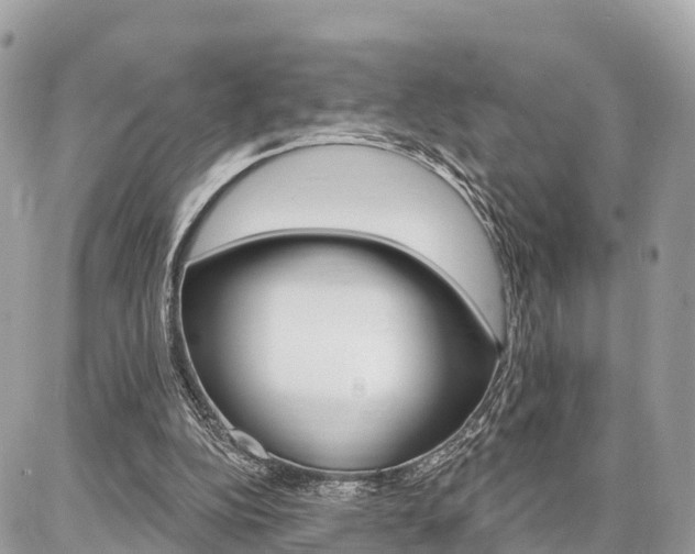 X0000086880152200704160949