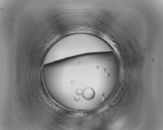 X0000086880153200704160949