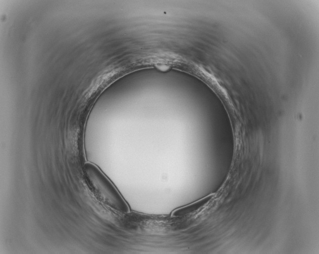 X0000086880154200704160949