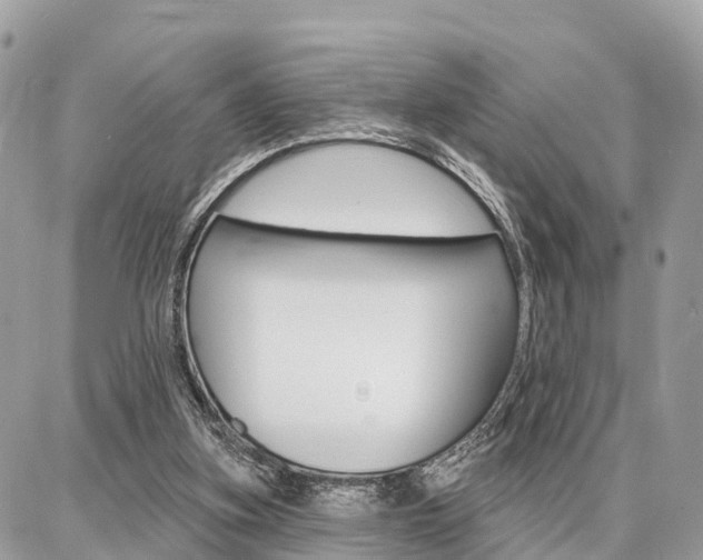 X0000086880155200704160949