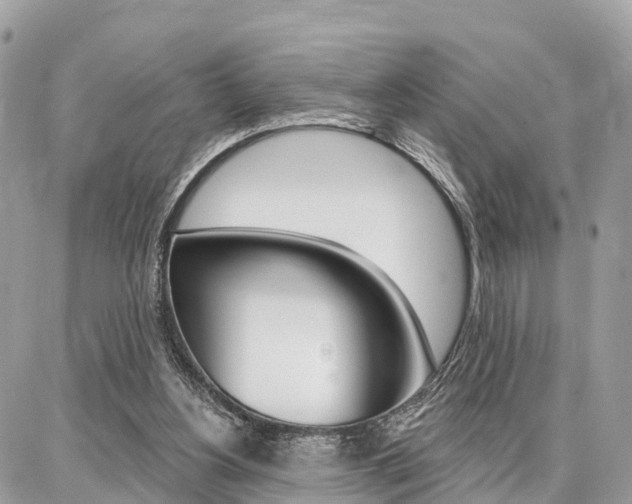 X0000086880156200704160949