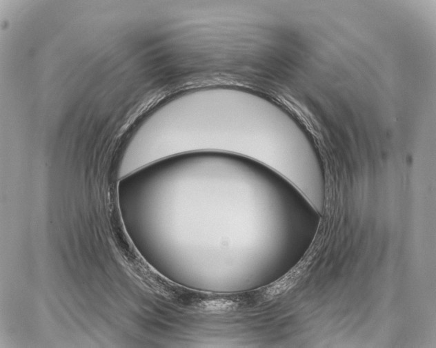 X0000086880158200704160949