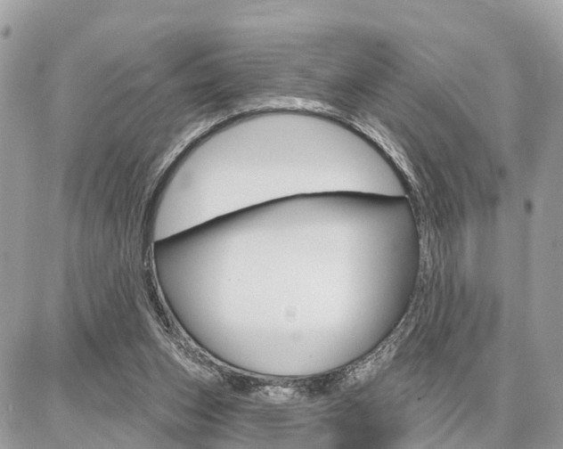 X0000086880159200704160949