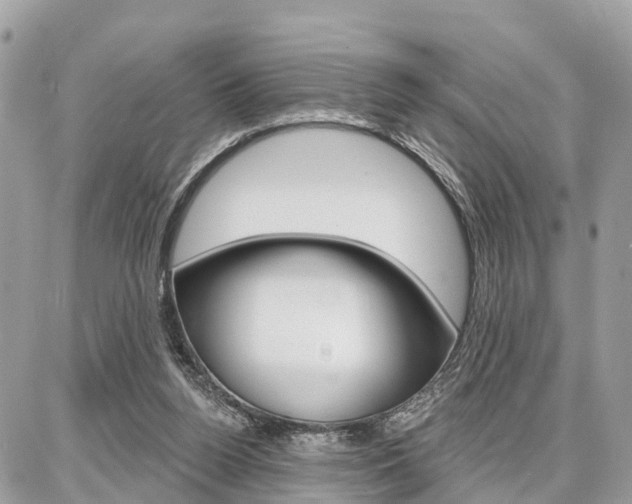 X0000086880160200704160949