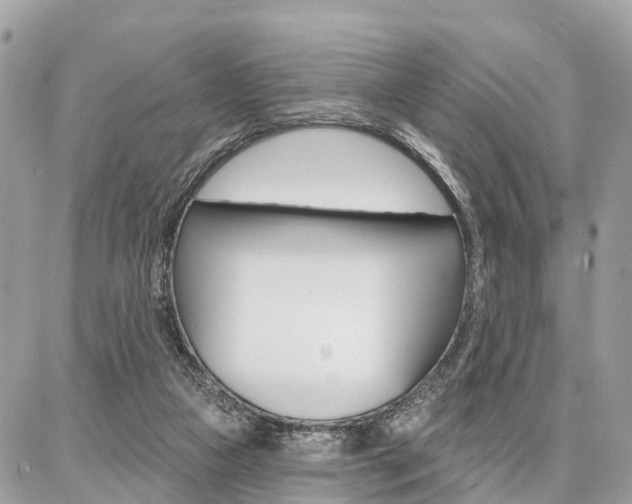 X0000086880161200704160949