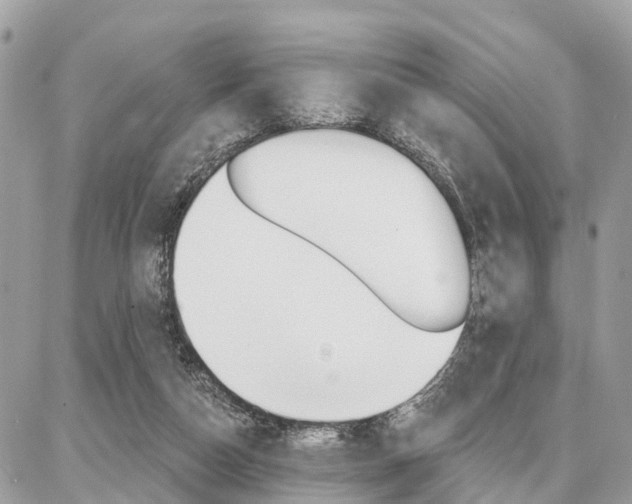 X0000086880162200704160949