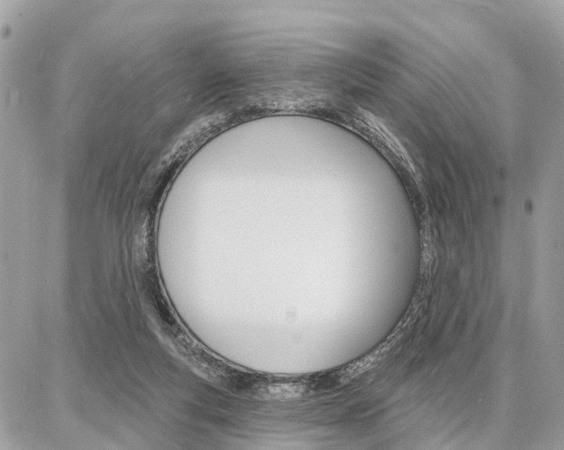 X0000086880163200704160949