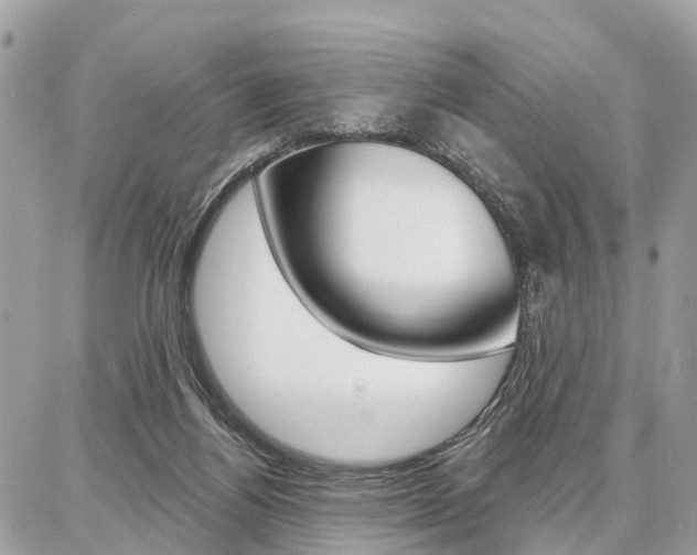 X0000086880164200704160949