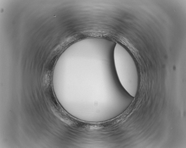 X0000086880165200704160949