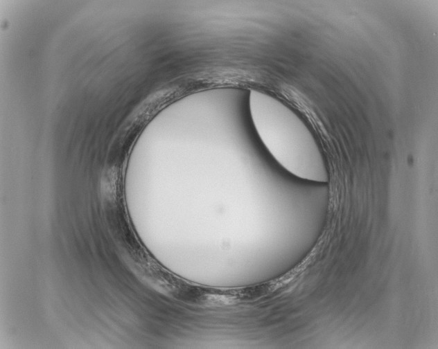 X0000086880167200704160949