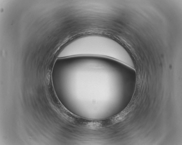 X0000086880168200704160949