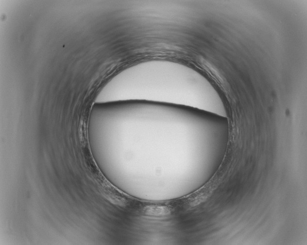 X0000086880169200704160949