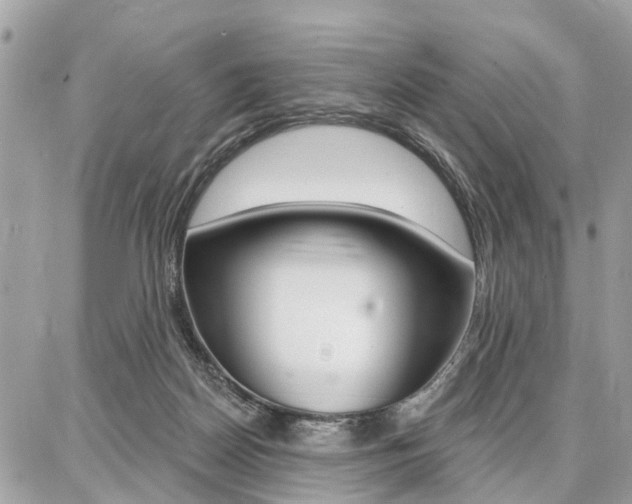 X0000086880170200704160949