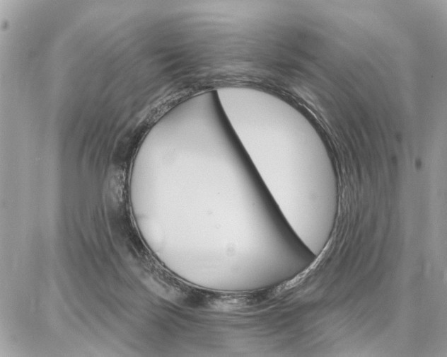 X0000086880171200704160949