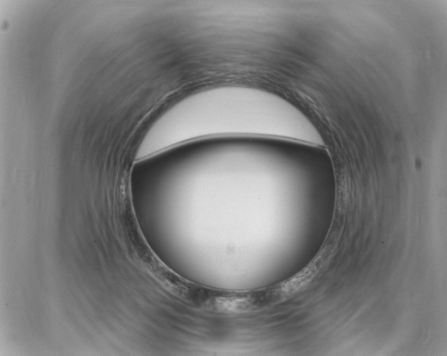 X0000086880172200704160949