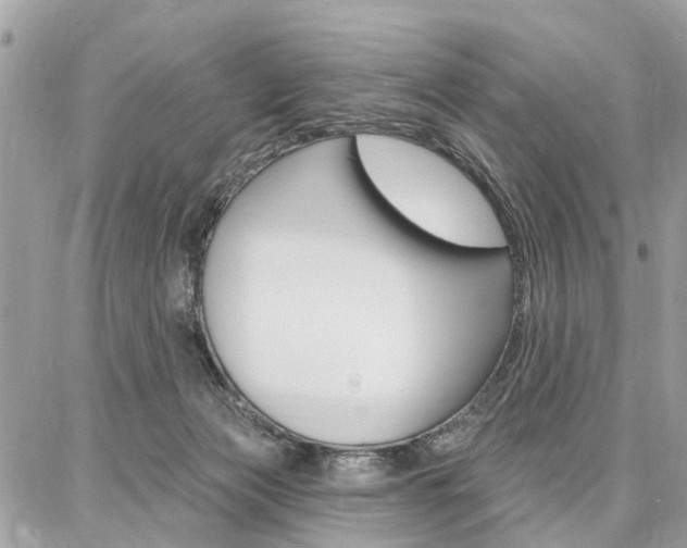 X0000086880173200704160949