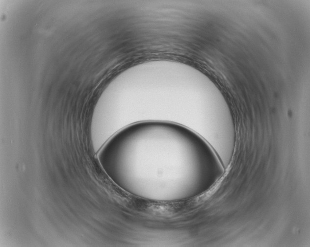 X0000086880174200704160949