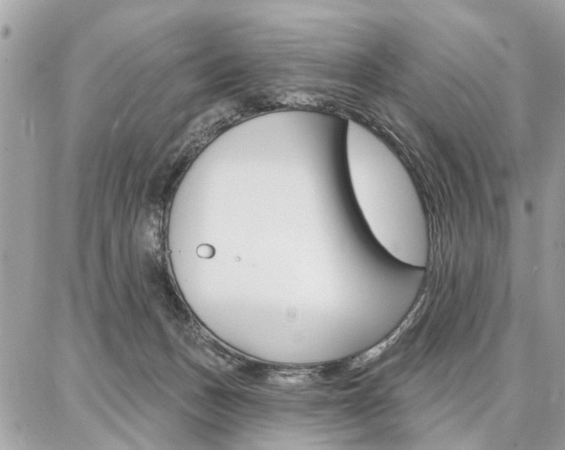 X0000086880175200704160949