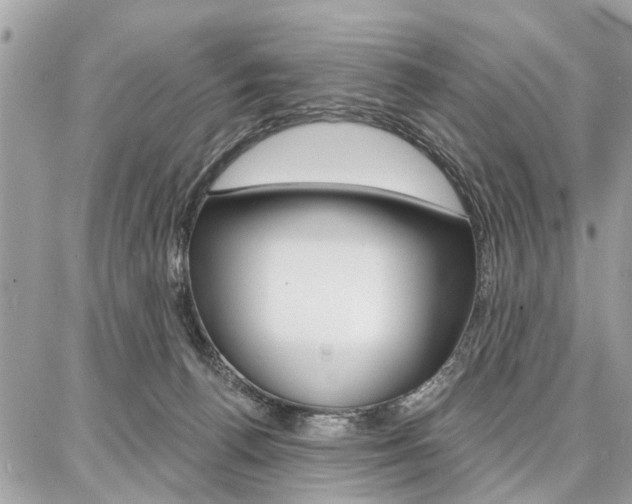 X0000086880176200704160949