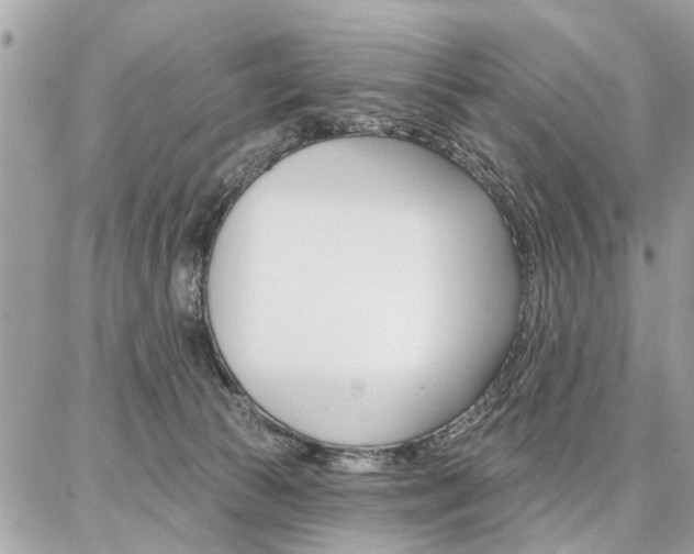 X0000086880177200704160949