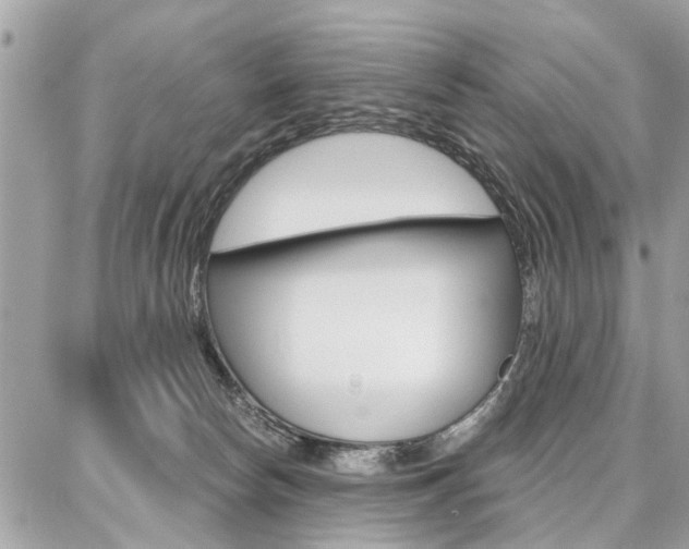 X0000086880178200704160949