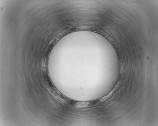 X0000086880179200704160949