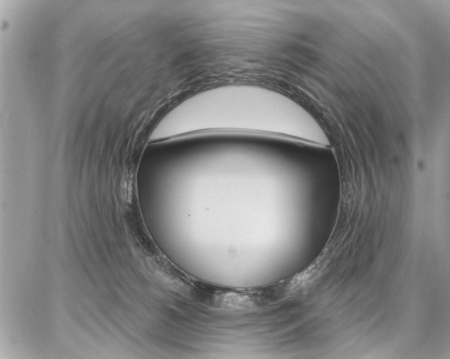 X0000086880180200704160949