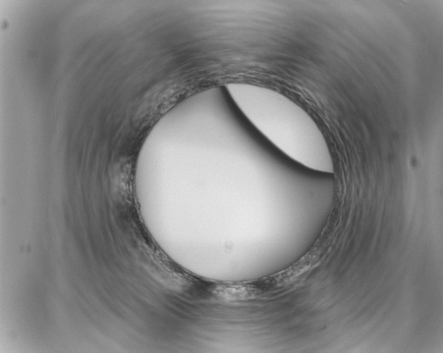 X0000086880181200704160949