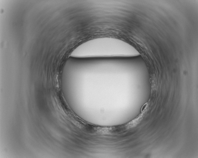 X0000086880182200704160949