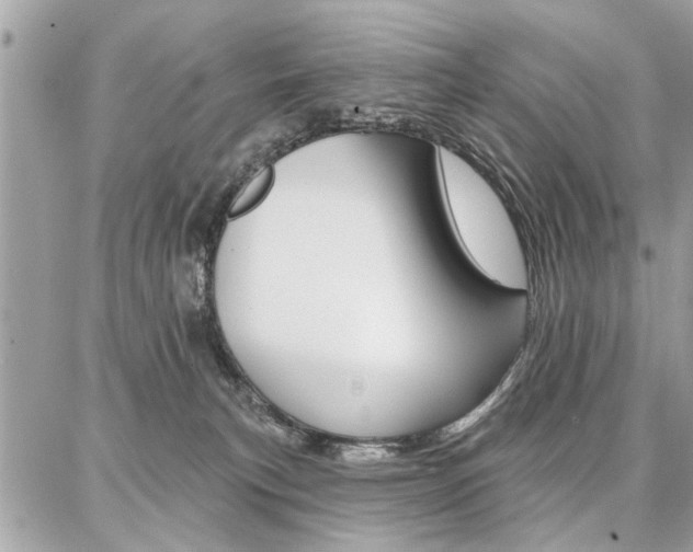 X0000086880183200704160949