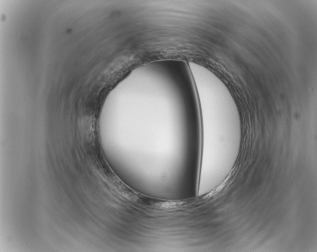 X0000086880184200704160949