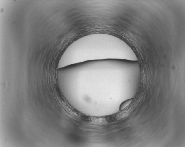 X0000086880185200704160949