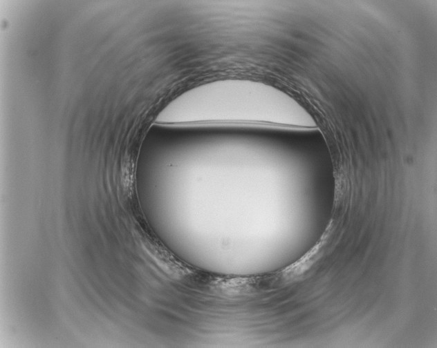 X0000086880186200704160949