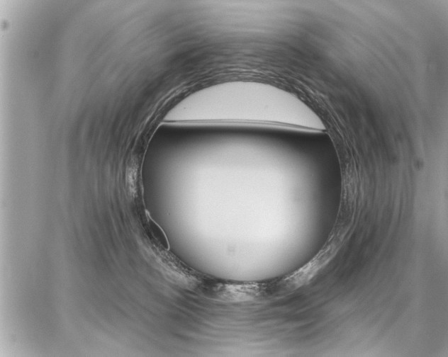 X0000086880188200704160949