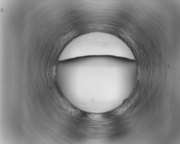 X0000086880189200704160949