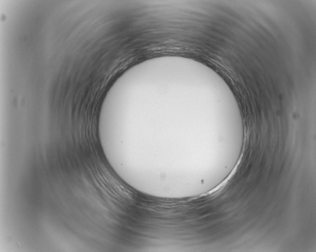 X0000086880190200704160949