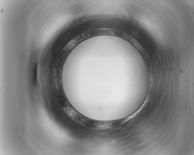 X0000086880191200704160949