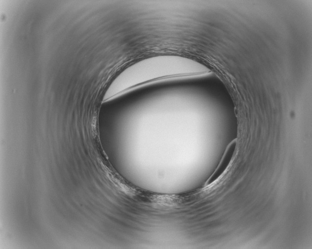 X0000086880192200704160949