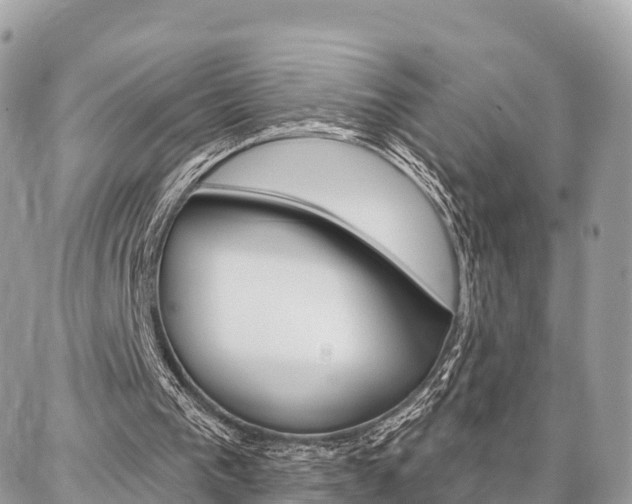 X0000086880193200704160949