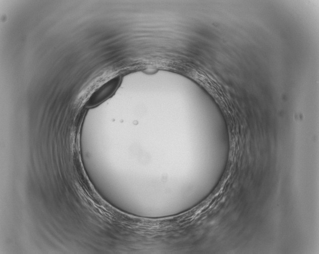 X0000086880194200704160948