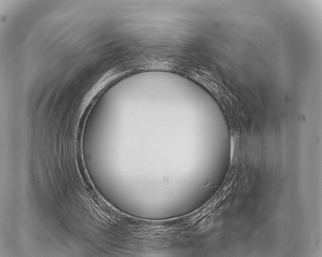 X0000086880195200704160948