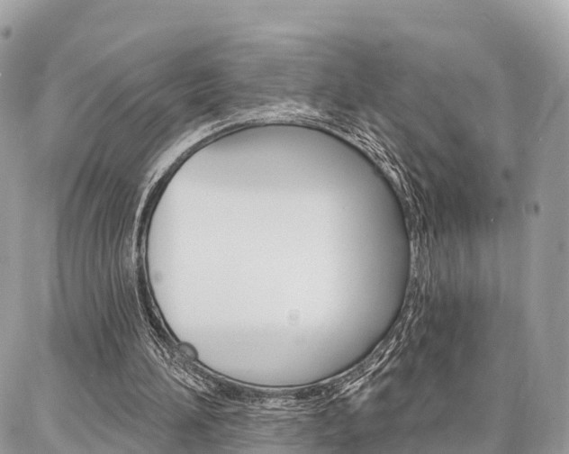 X0000086880196200704160948