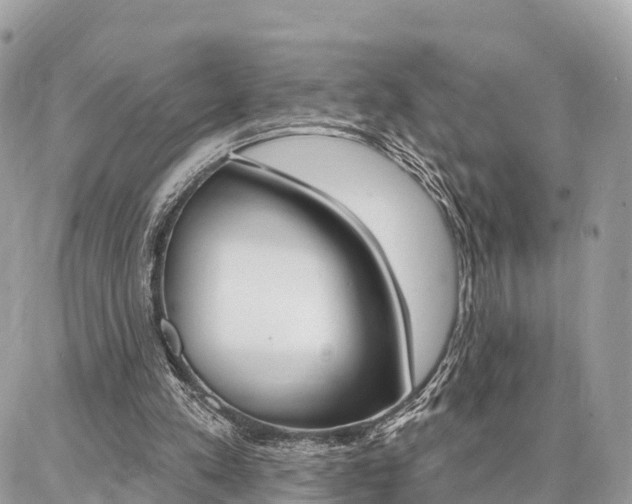 X0000086880197200704160948