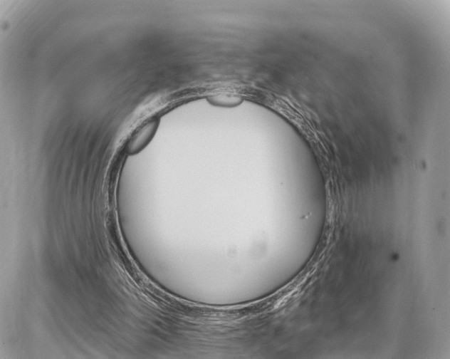 X0000086880198200704160948