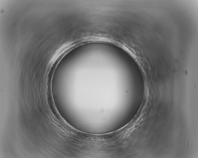 X0000086880199200704160948