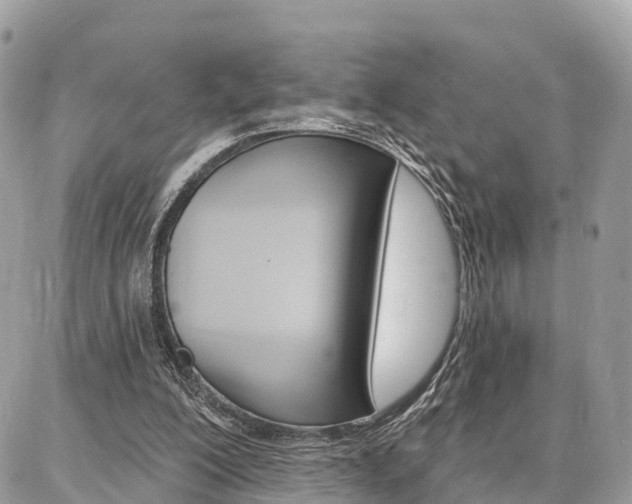 X0000086880200200704160948