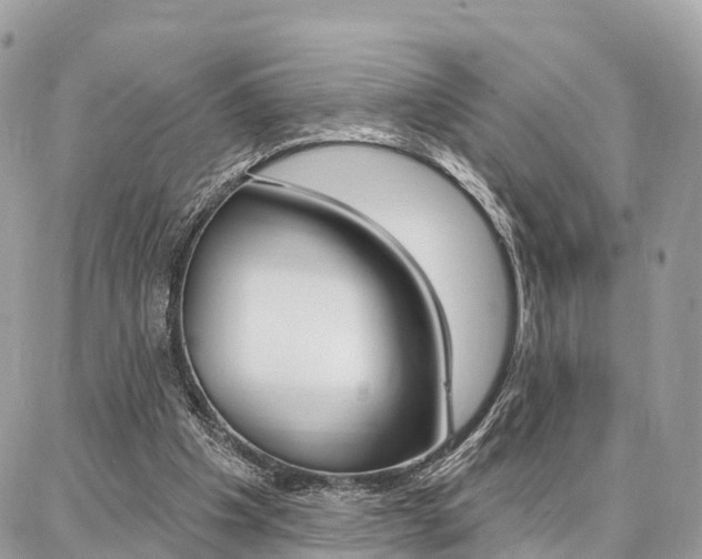 X0000086880201200704160948