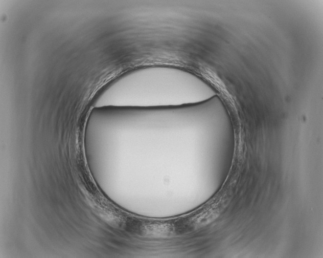 X0000086880202200704160948