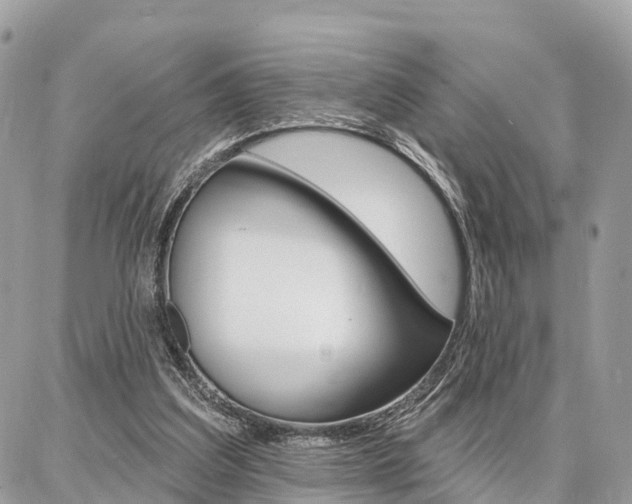 X0000086880203200704160948