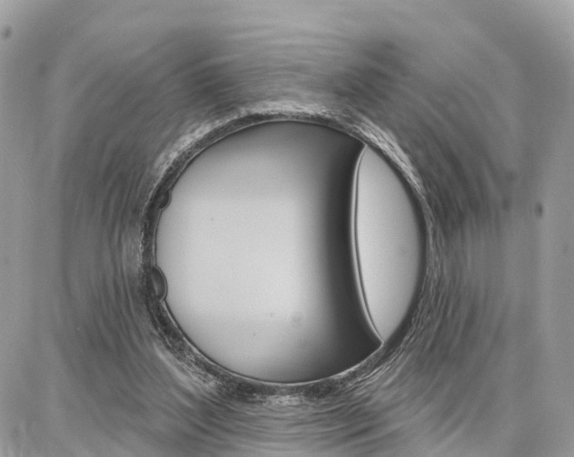 X0000086880204200704160948